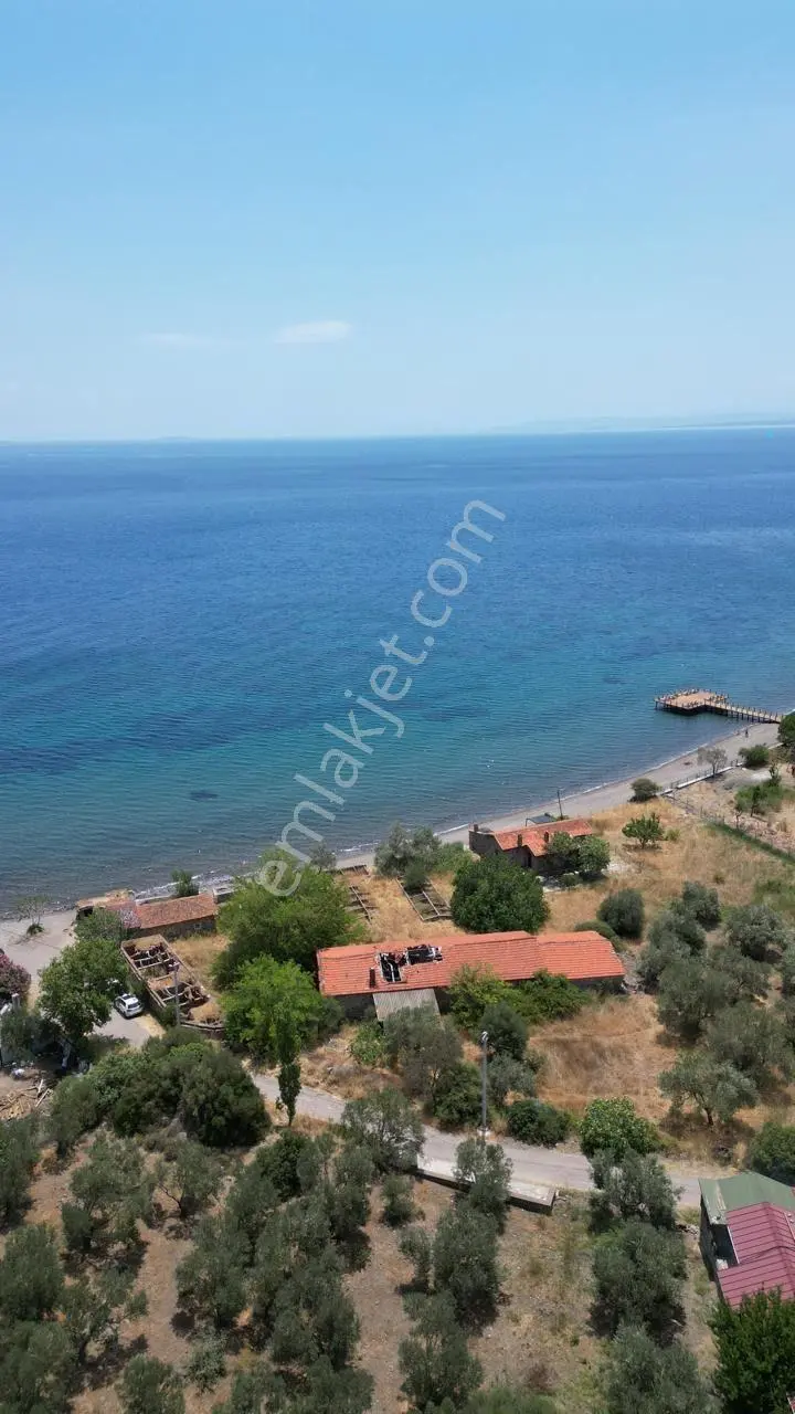 Asos Kozluda 6.016 M2 Eski Zeytinyağı Fabrikası — fotoğraf 9