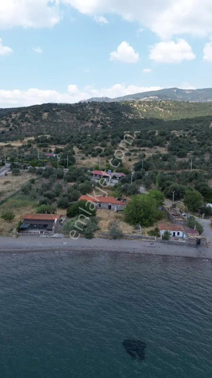 Asos Kozluda 6.016 M2 Eski Zeytinyağı Fabrikası — fotoğraf 10