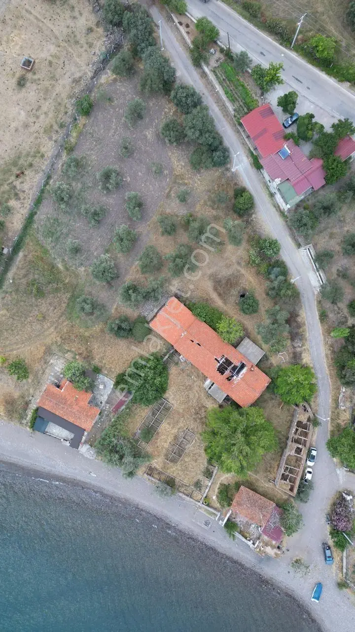 Asos Kozluda 6.016 M2 Eski Zeytinyağı Fabrikası — fotoğraf 11
