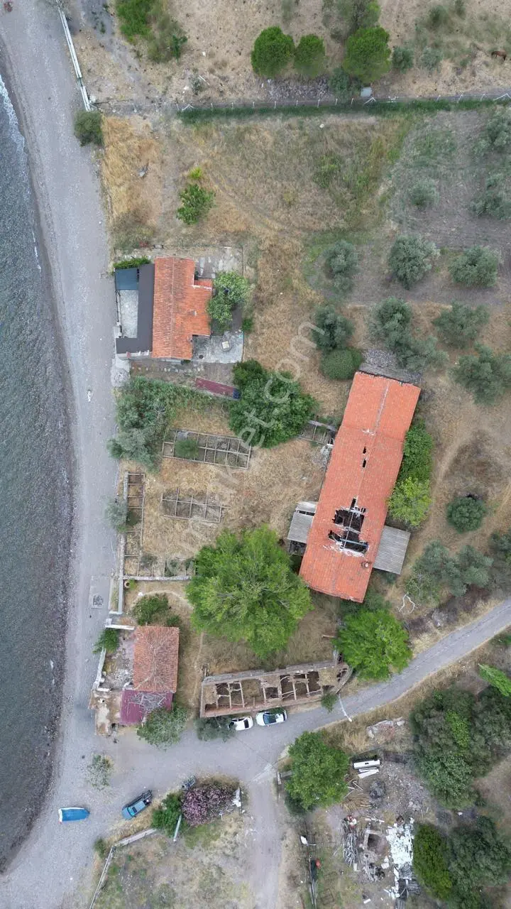 Asos Kozluda 6.016 M2 Eski Zeytinyağı Fabrikası — fotoğraf 12