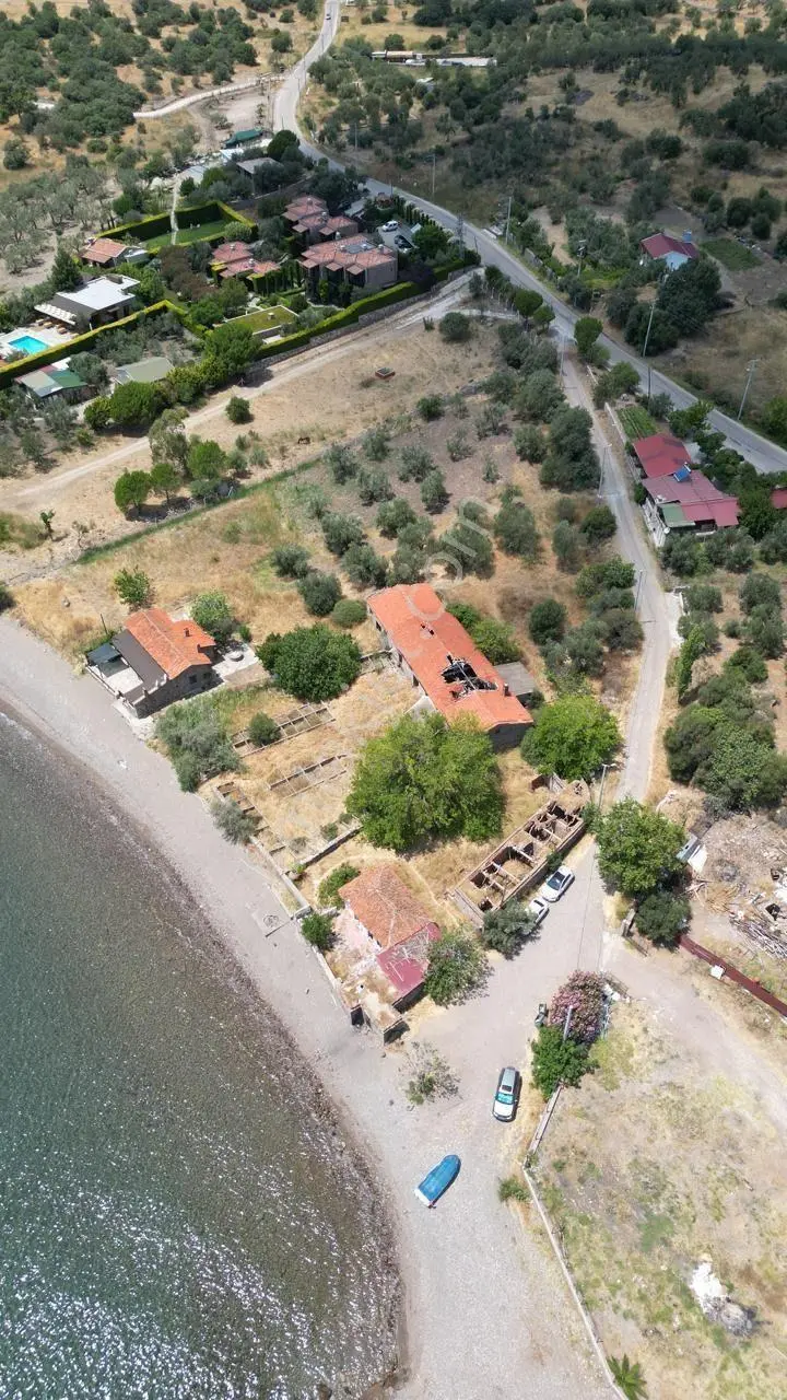 Asos Kozluda 6.016 M2 Eski Zeytinyağı Fabrikası — fotoğraf 13