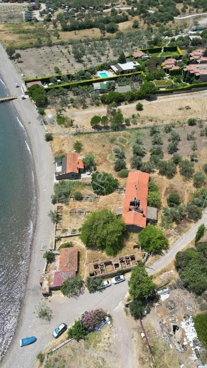 Asos Kozluda 6.016 M2 Eski Zeytinyağı Fabrikası — fotoğraf 14