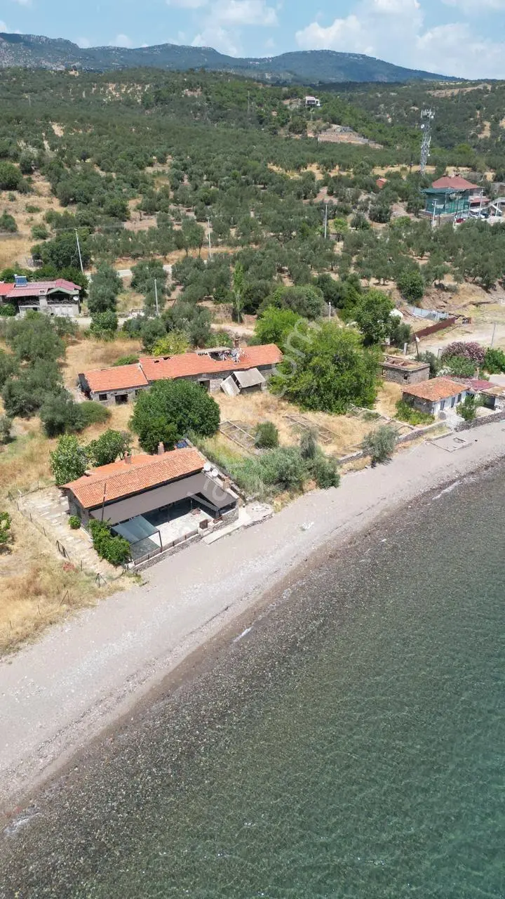 Asos Kozluda 6.016 M2 Eski Zeytinyağı Fabrikası — fotoğraf 15
