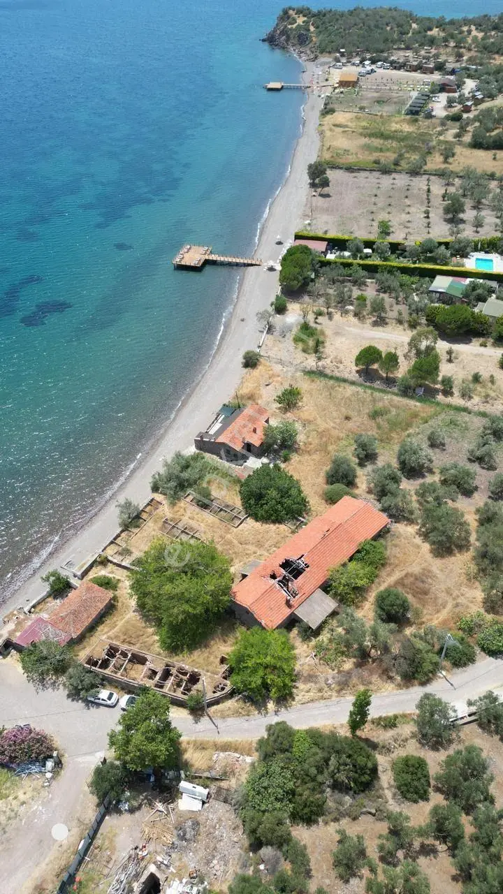 Asos Kozluda 6.016 M2 Eski Zeytinyağı Fabrikası — fotoğraf 16