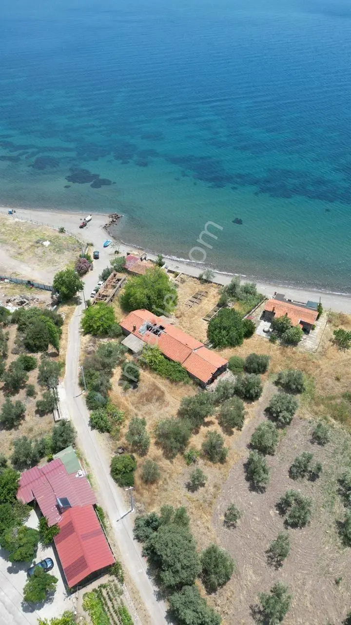 Asos Kozluda 6.016 M2 Eski Zeytinyağı Fabrikası — fotoğraf 17