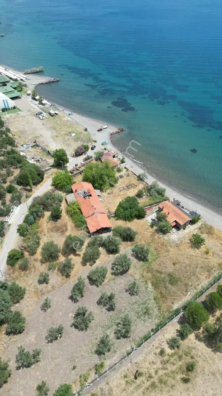 Asos Kozluda 6.016 M2 Eski Zeytinyağı Fabrikası — fotoğraf 18