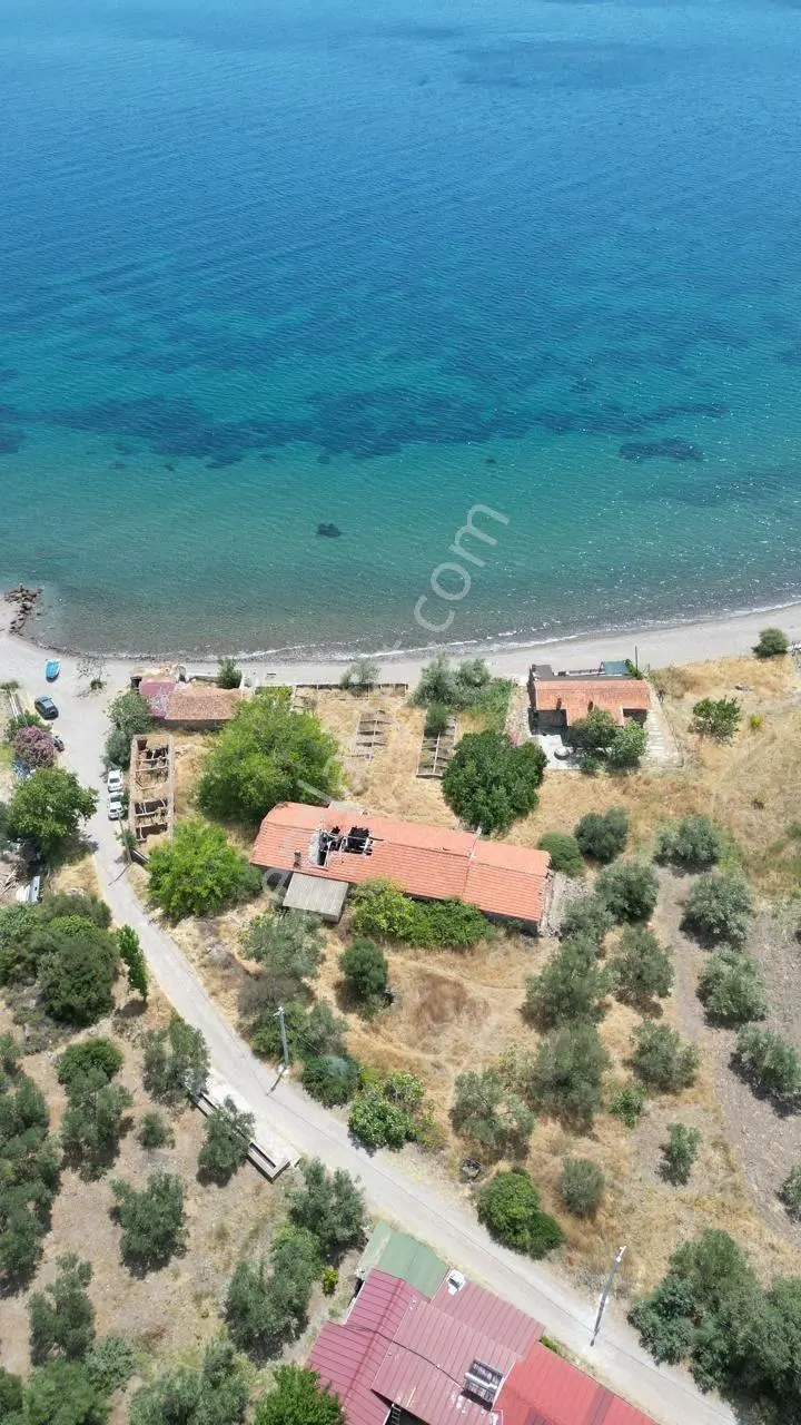 Asos Kozluda 6.016 M2 Eski Zeytinyağı Fabrikası — fotoğraf 19