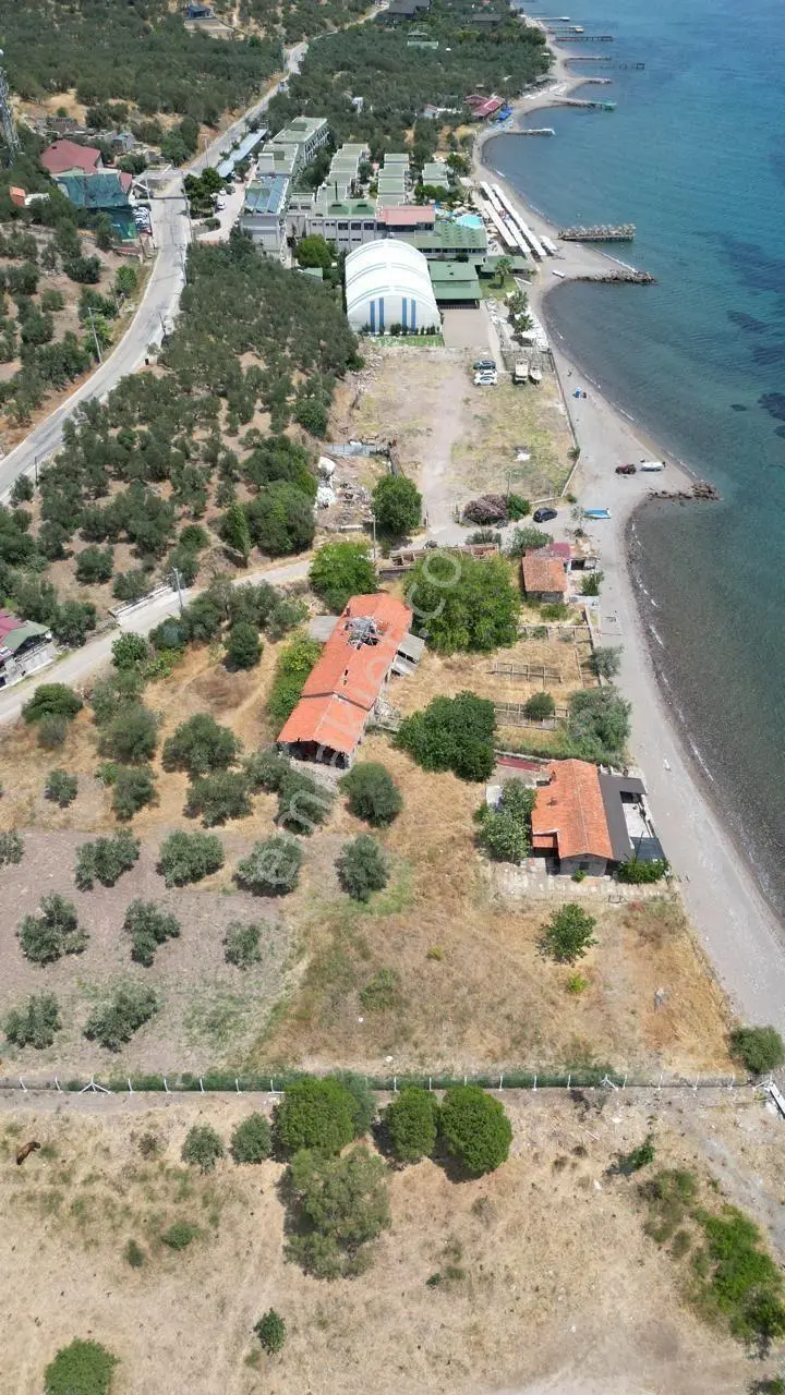 Asos Kozluda 6.016 M2 Eski Zeytinyağı Fabrikası — fotoğraf 20