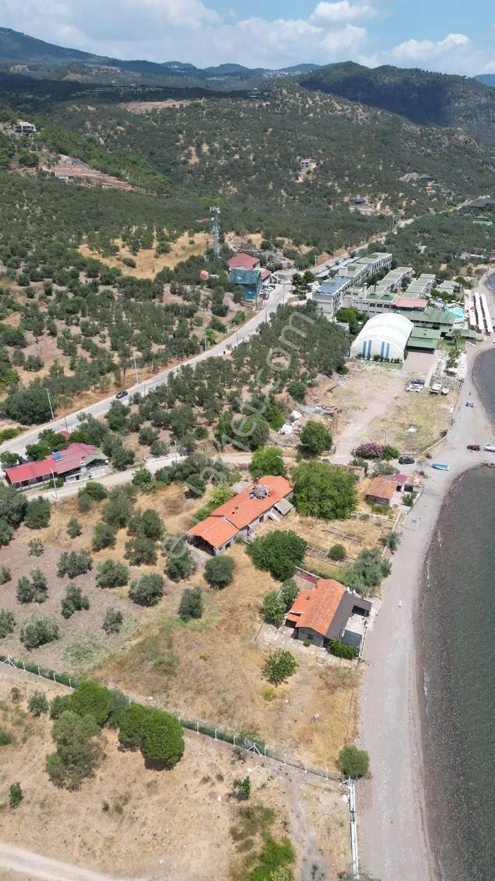 Asos Kozluda 6.016 M2 Eski Zeytinyağı Fabrikası — fotoğraf 21