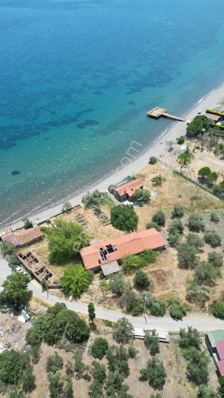 Asos Kozluda 6.016 M2 Eski Zeytinyağı Fabrikası — fotoğraf 22