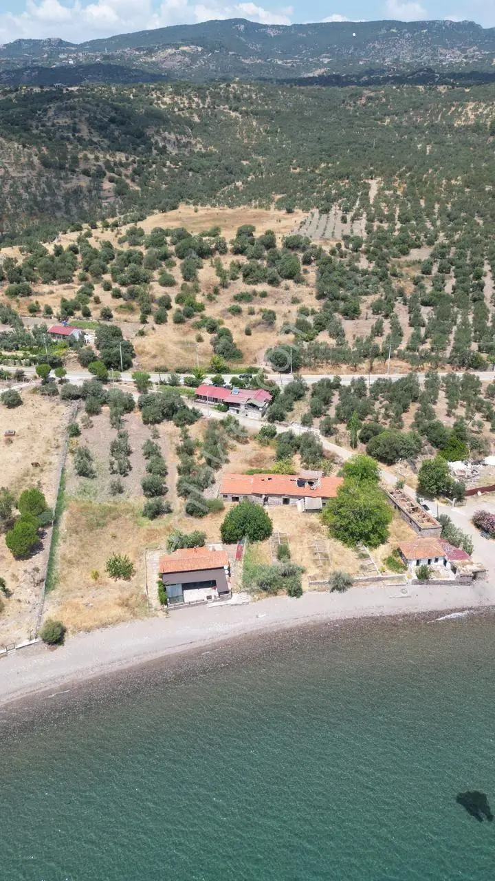 Asos Kozluda 6.016 M2 Eski Zeytinyağı Fabrikası — fotoğraf 23