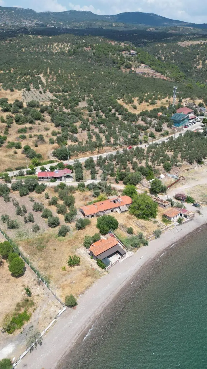 Asos Kozluda 6.016 M2 Eski Zeytinyağı Fabrikası — fotoğraf 24