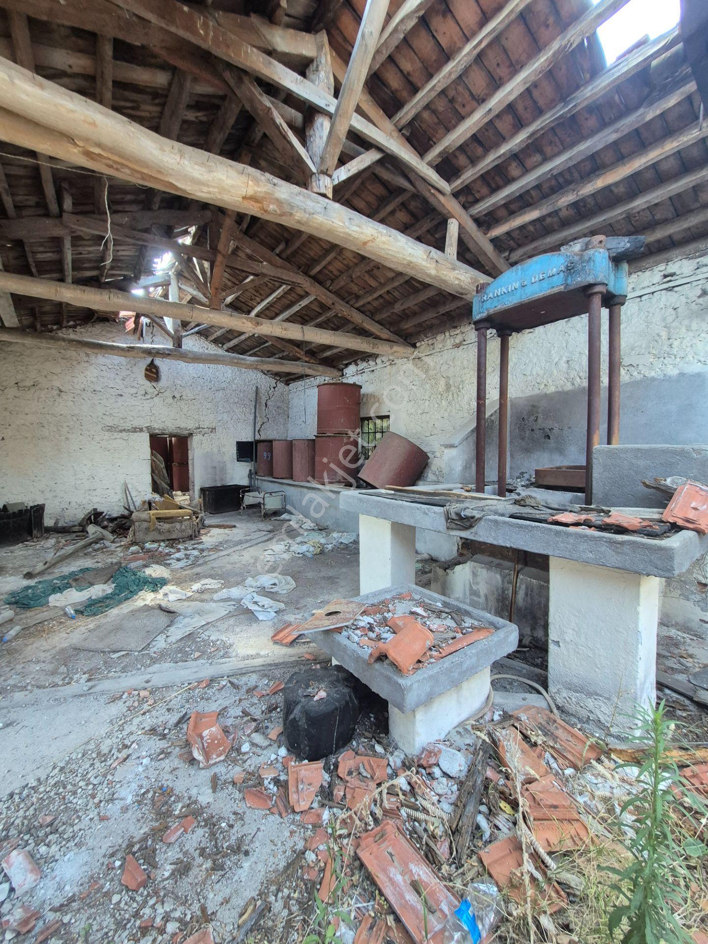 Asos Kozluda 6.016 M2 Eski Zeytinyağı Fabrikası — fotoğraf 27