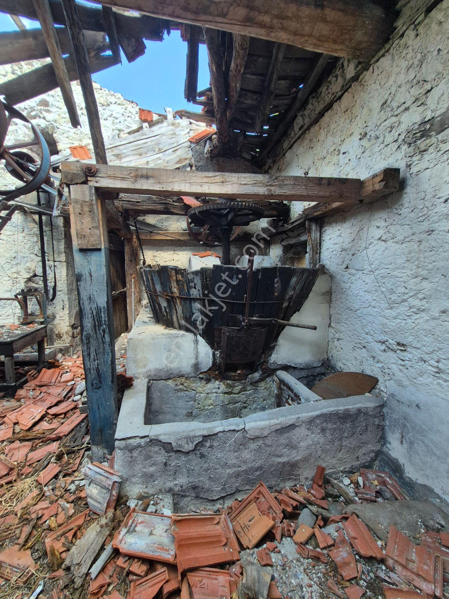 Asos Kozluda 6.016 M2 Eski Zeytinyağı Fabrikası — fotoğraf 30