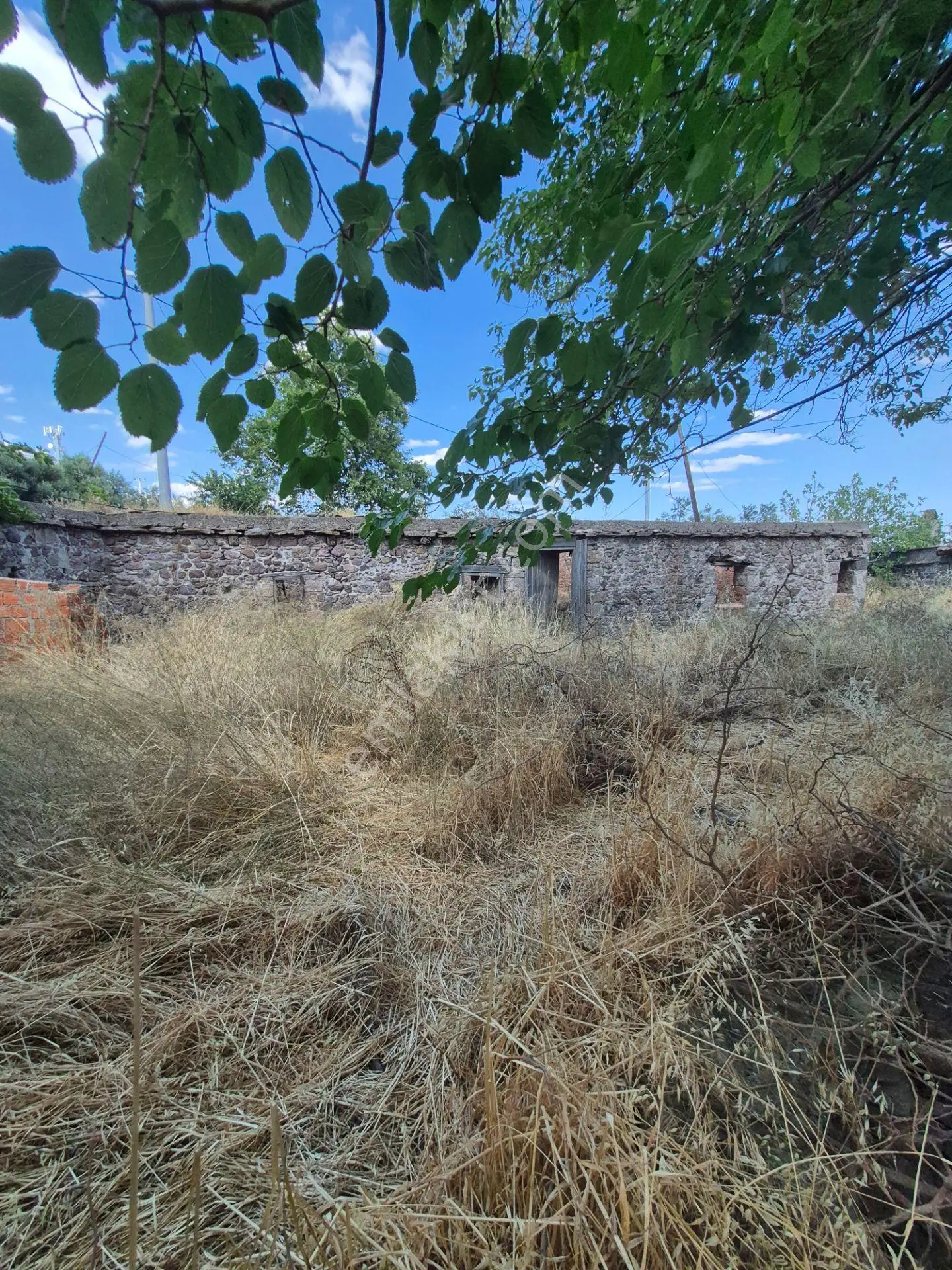 Asos Kozluda 6.016 M2 Eski Zeytinyağı Fabrikası — fotoğraf 33