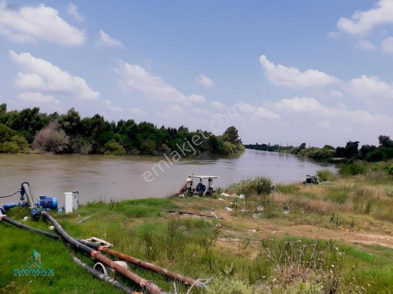 Esenlerköyü Asfalt Kenarı 17.000m2 8 Yaşında W Murcott Bahçe... — fotoğraf 2