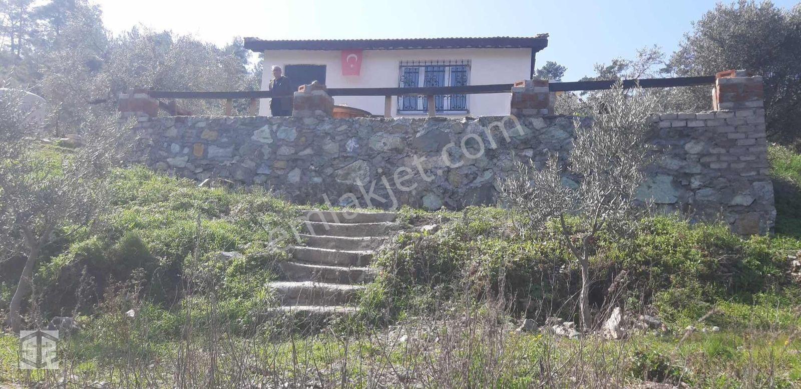 İzmir Selçuk Şirince Köyünde İçinde Evi Olan Zeytinlik 2658 M2