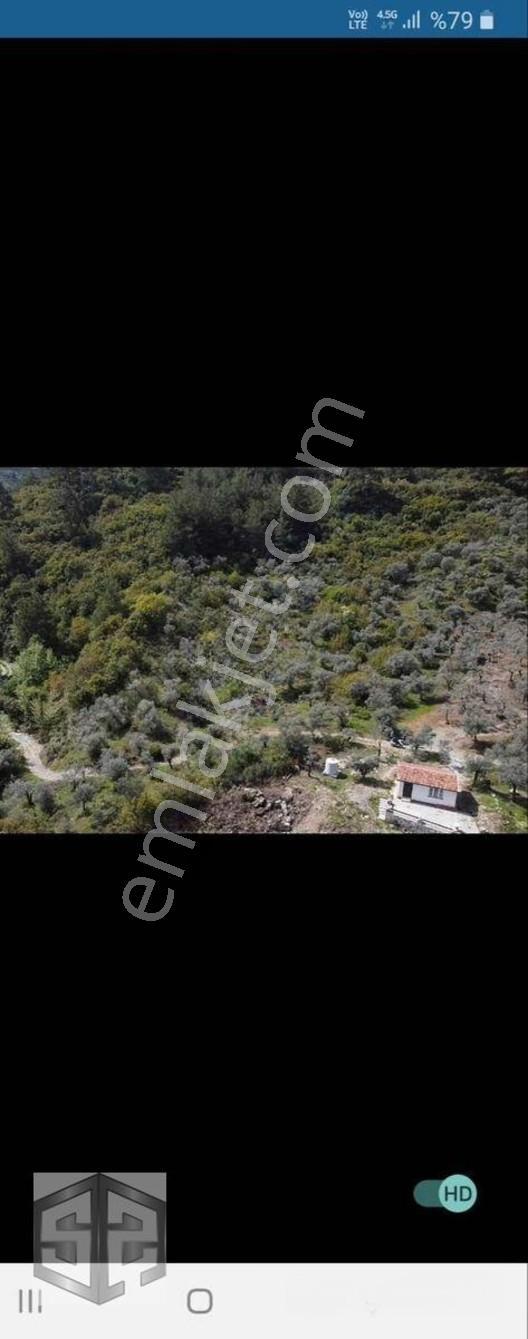 İzmir Selçuk Şirince Köyünde İçinde Evi Olan Zeytinlik 2658 M2 — fotoğraf 6