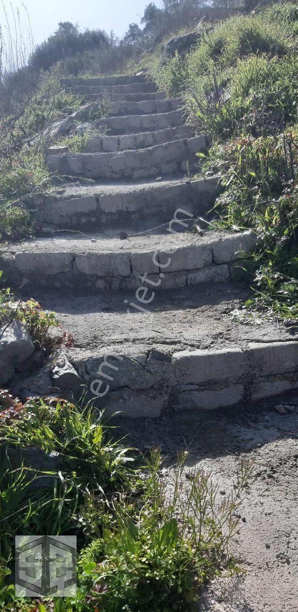 İzmir Selçuk Şirince Köyünde İçinde Evi Olan Zeytinlik 2658 M2 — fotoğraf 7