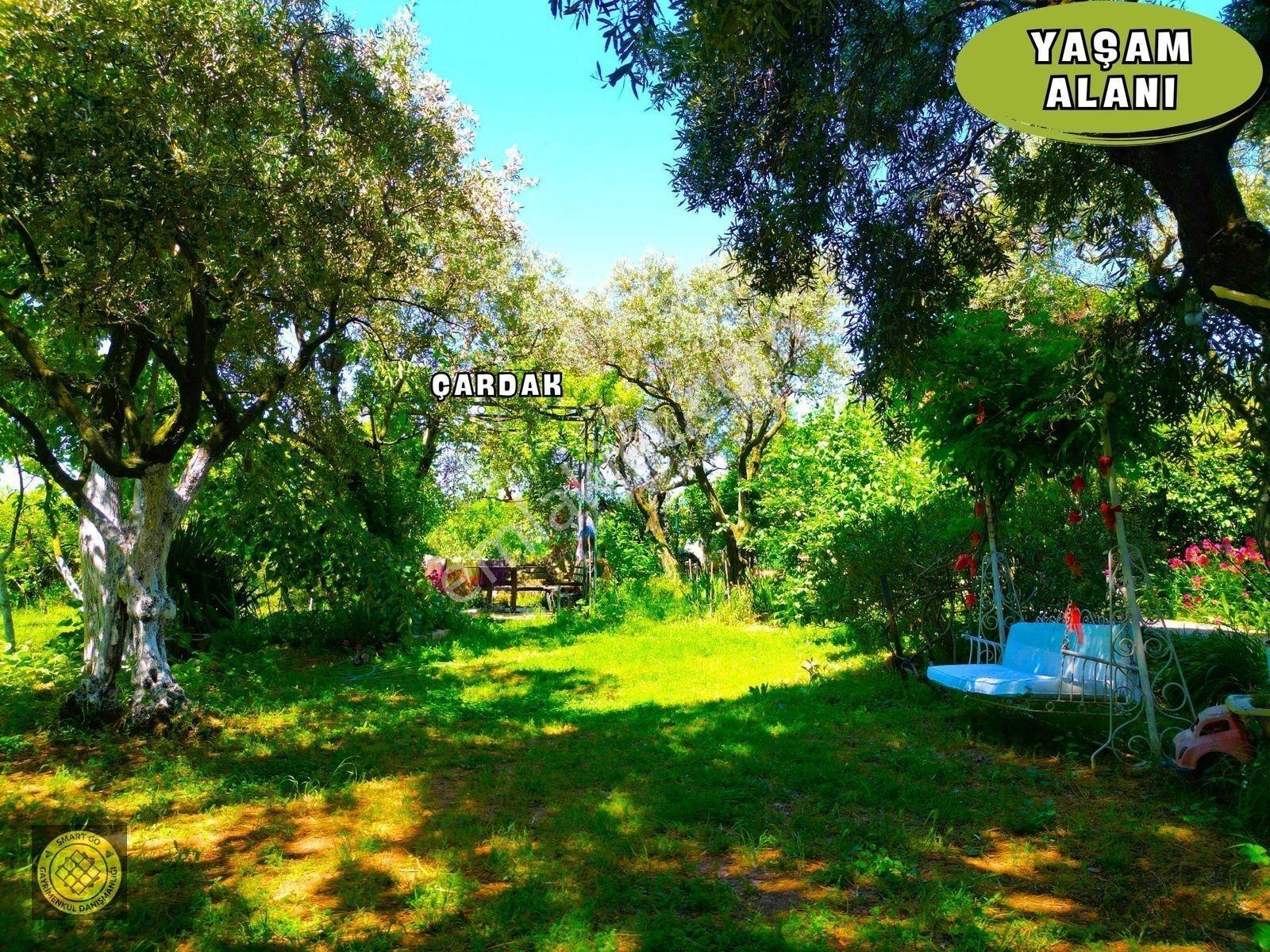 Parayla Zamanı Satın Alacağınız Asırlık Bahçe Ve Müstakil Ev! — fotoğraf 13