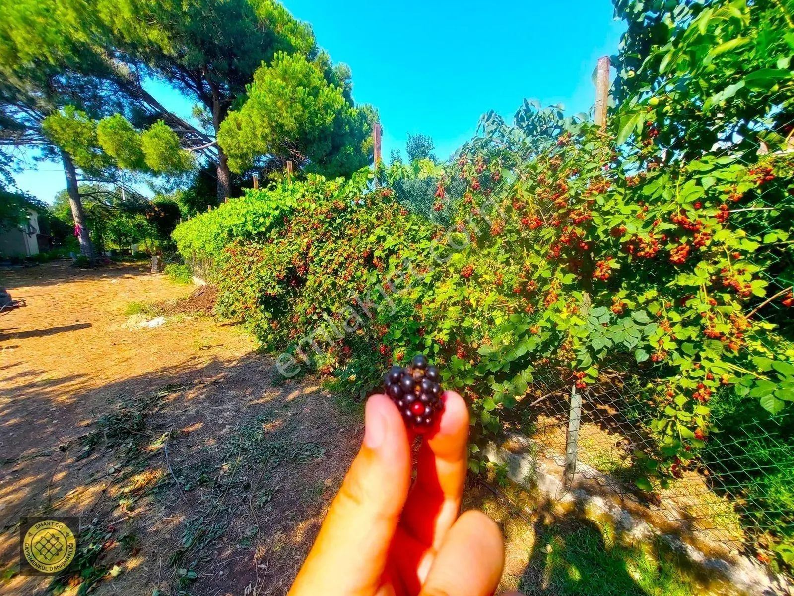 Parayla Zamanı Satın Alacağınız Asırlık Bahçe Ve Müstakil Ev! — fotoğraf 21