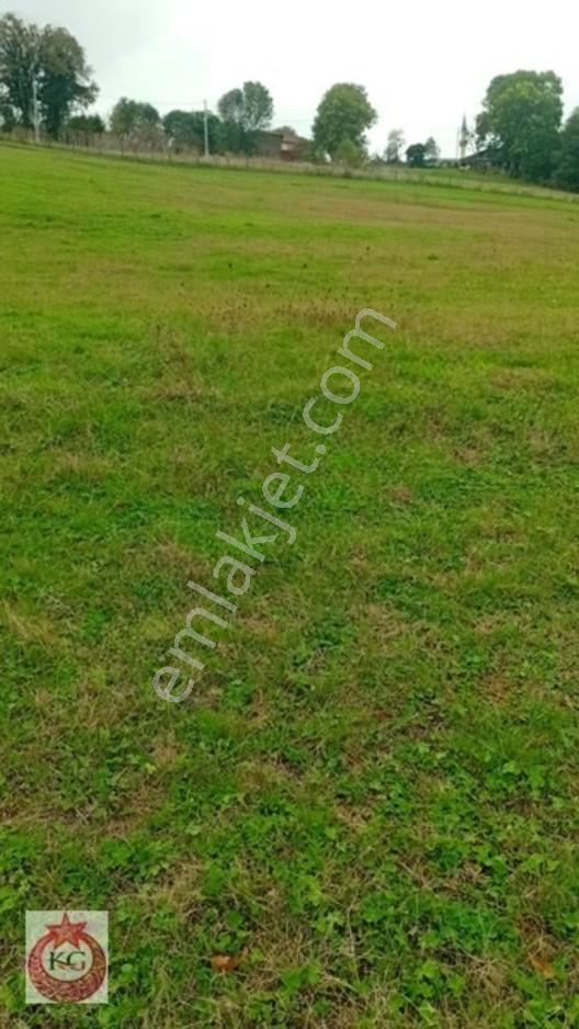 Kandıra Hıdırlar Mah Satılık Tarla — fotoğraf 3