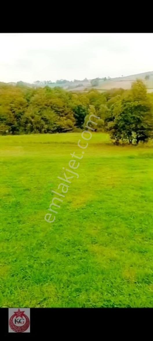 Kandıra Hıdırlar Mah Satılık Tarla — fotoğraf 5