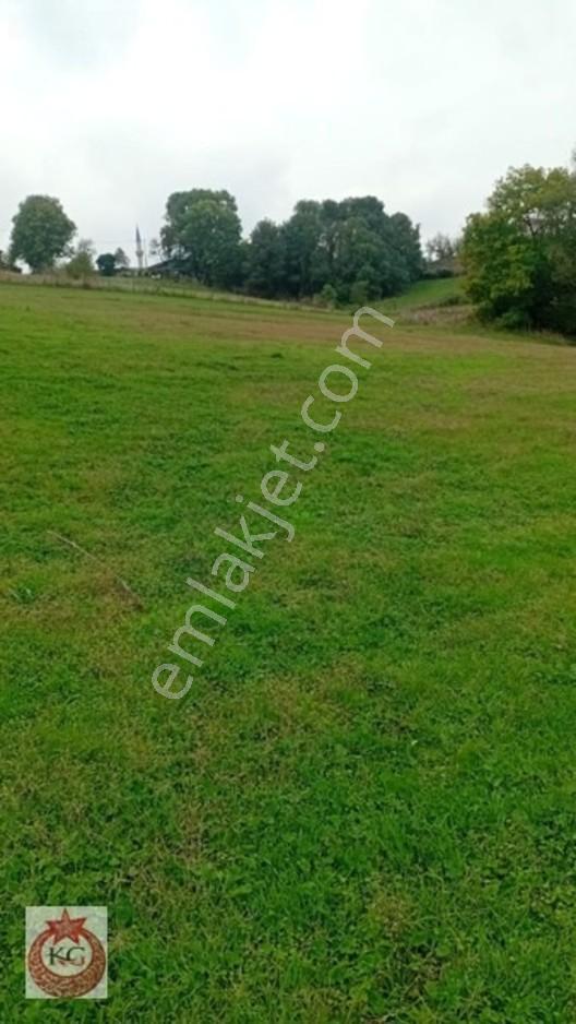 Kandıra Hıdırlar Mah Satılık Tarla — fotoğraf 6