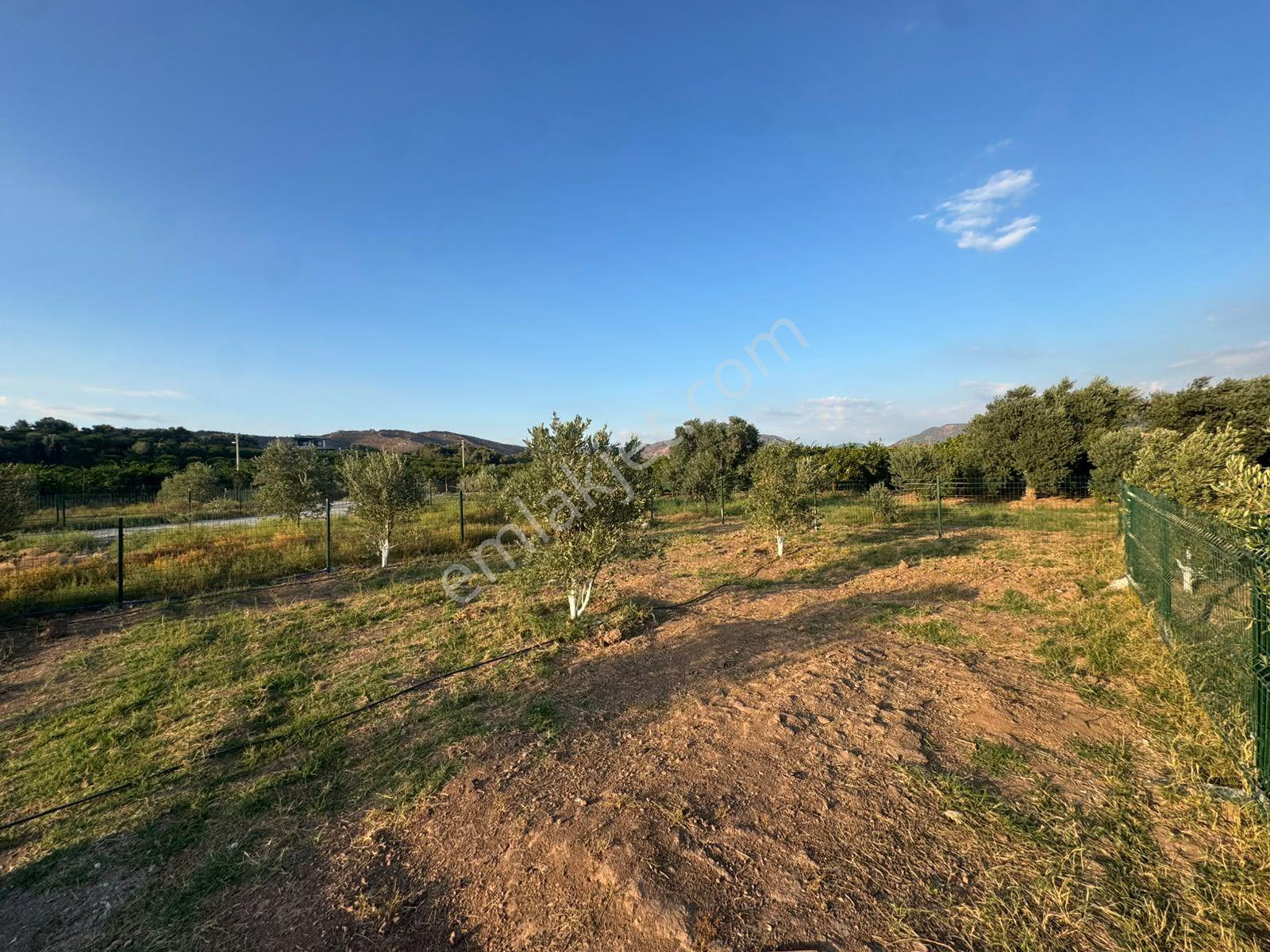 İzmir Seferihisar Doğanbey De Satılık 204 M2 Arsa — fotoğraf 4