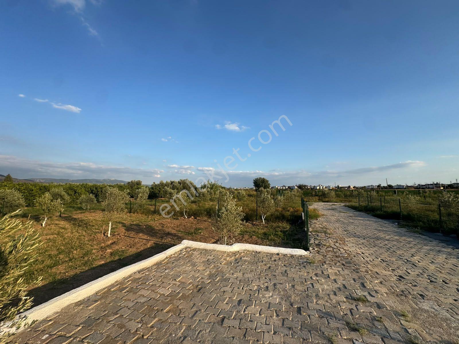 İzmir Seferihisar Doğanbey De Satılık 204 M2 Arsa — fotoğraf 8