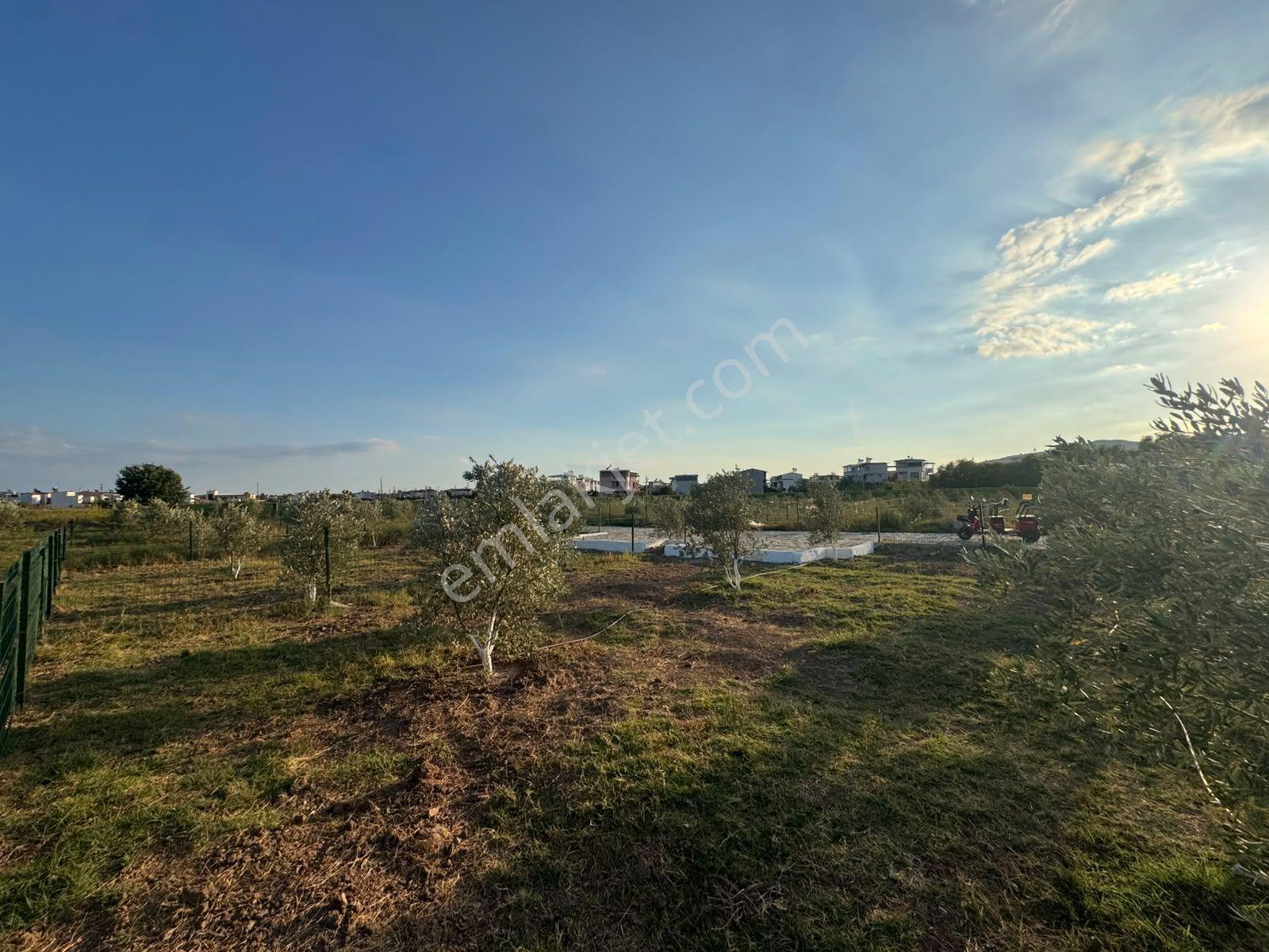 İzmir Seferihisar Doğanbey De Satılık 204 M2 Arsa — fotoğraf 9