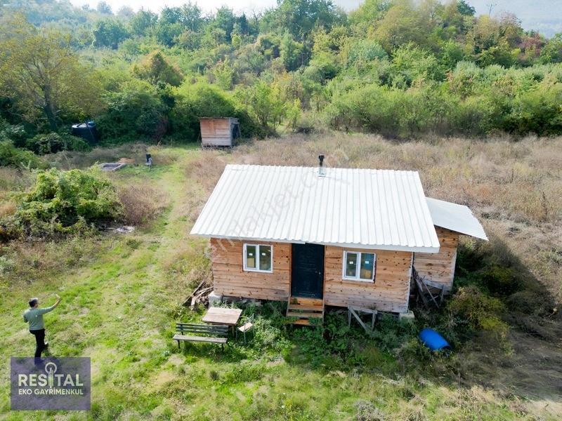 Babasultanda Doğanın İçinde Köye Yakın 4.174 M² Bahçe