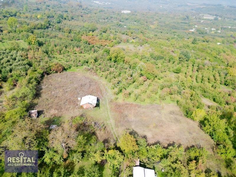 Babasultanda Doğanın İçinde Köye Yakın 4.174 M² Bahçe — fotoğraf 4