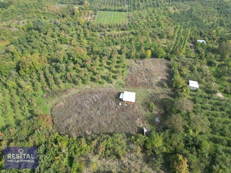 Babasultanda Doğanın İçinde Köye Yakın 4.174 M² Bahçe — fotoğraf 5