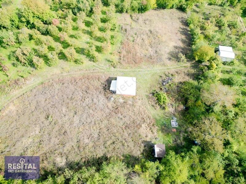 Babasultanda Doğanın İçinde Köye Yakın 4.174 M² Bahçe — fotoğraf 6
