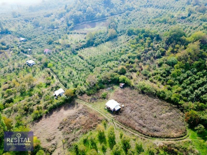 Babasultanda Doğanın İçinde Köye Yakın 4.174 M² Bahçe — fotoğraf 7