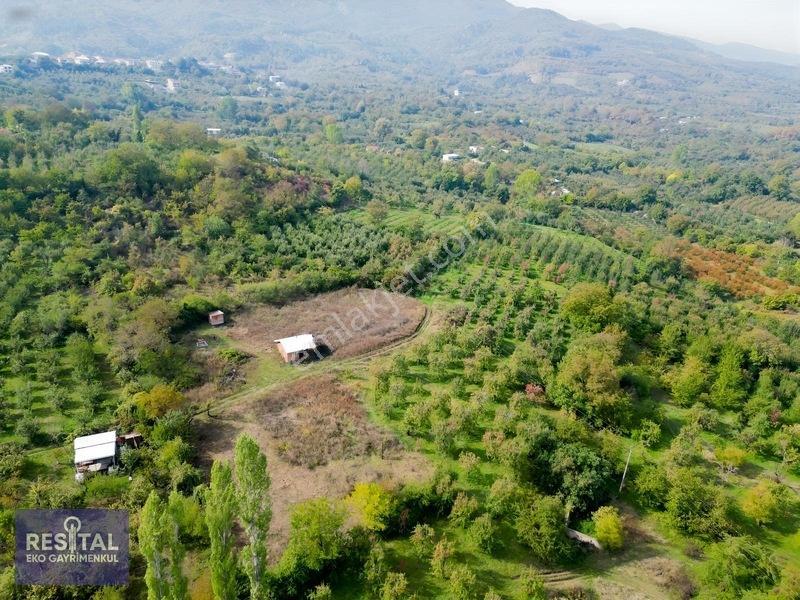 Babasultanda Doğanın İçinde Köye Yakın 4.174 M² Bahçe — fotoğraf 8