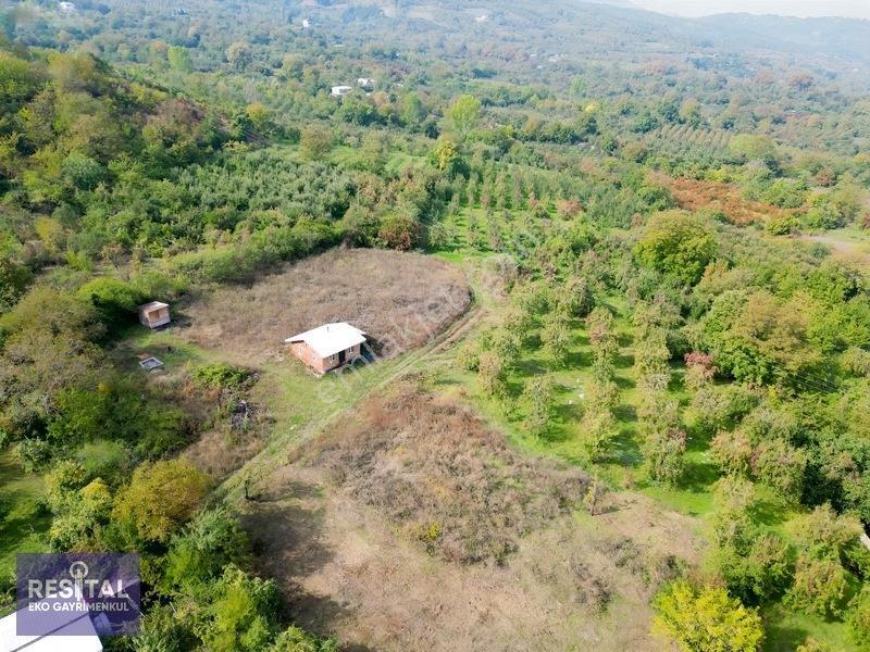 Babasultanda Doğanın İçinde Köye Yakın 4.174 M² Bahçe — fotoğraf 9