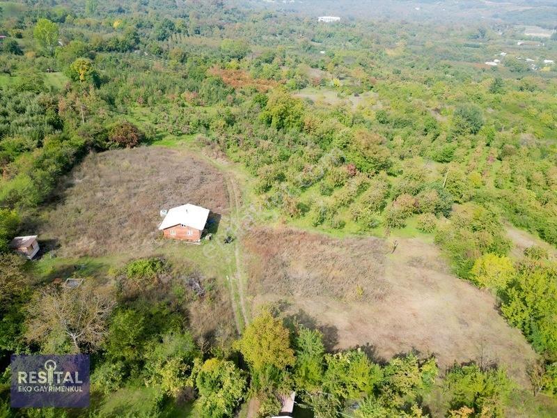 Babasultanda Doğanın İçinde Köye Yakın 4.174 M² Bahçe — fotoğraf 10