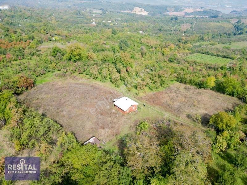 Babasultanda Doğanın İçinde Köye Yakın 4.174 M² Bahçe — fotoğraf 11