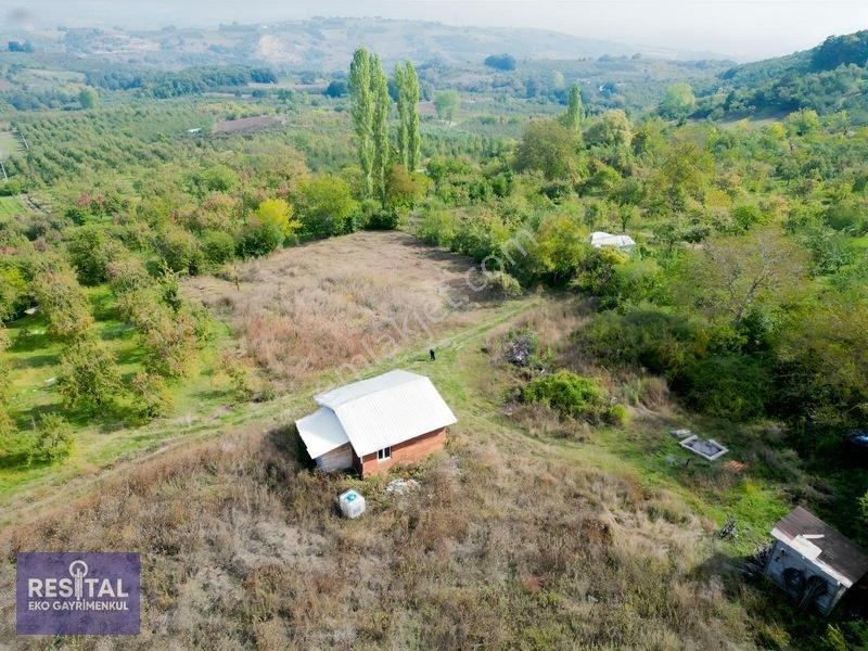 Babasultanda Doğanın İçinde Köye Yakın 4.174 M² Bahçe — fotoğraf 14