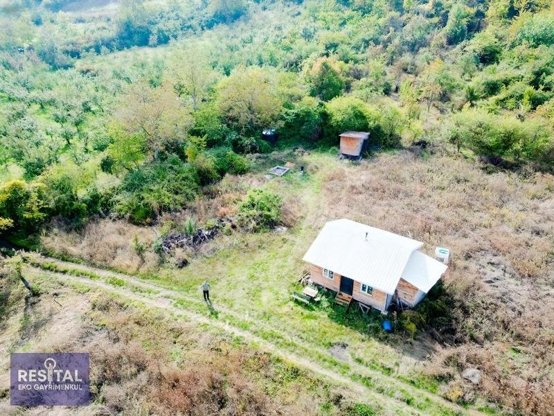 Babasultanda Doğanın İçinde Köye Yakın 4.174 M² Bahçe — fotoğraf 15