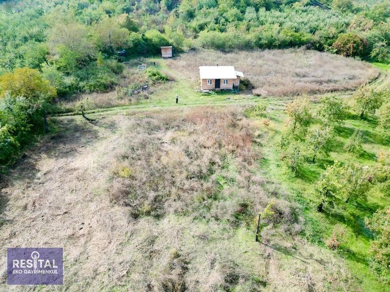 Babasultanda Doğanın İçinde Köye Yakın 4.174 M² Bahçe — fotoğraf 16