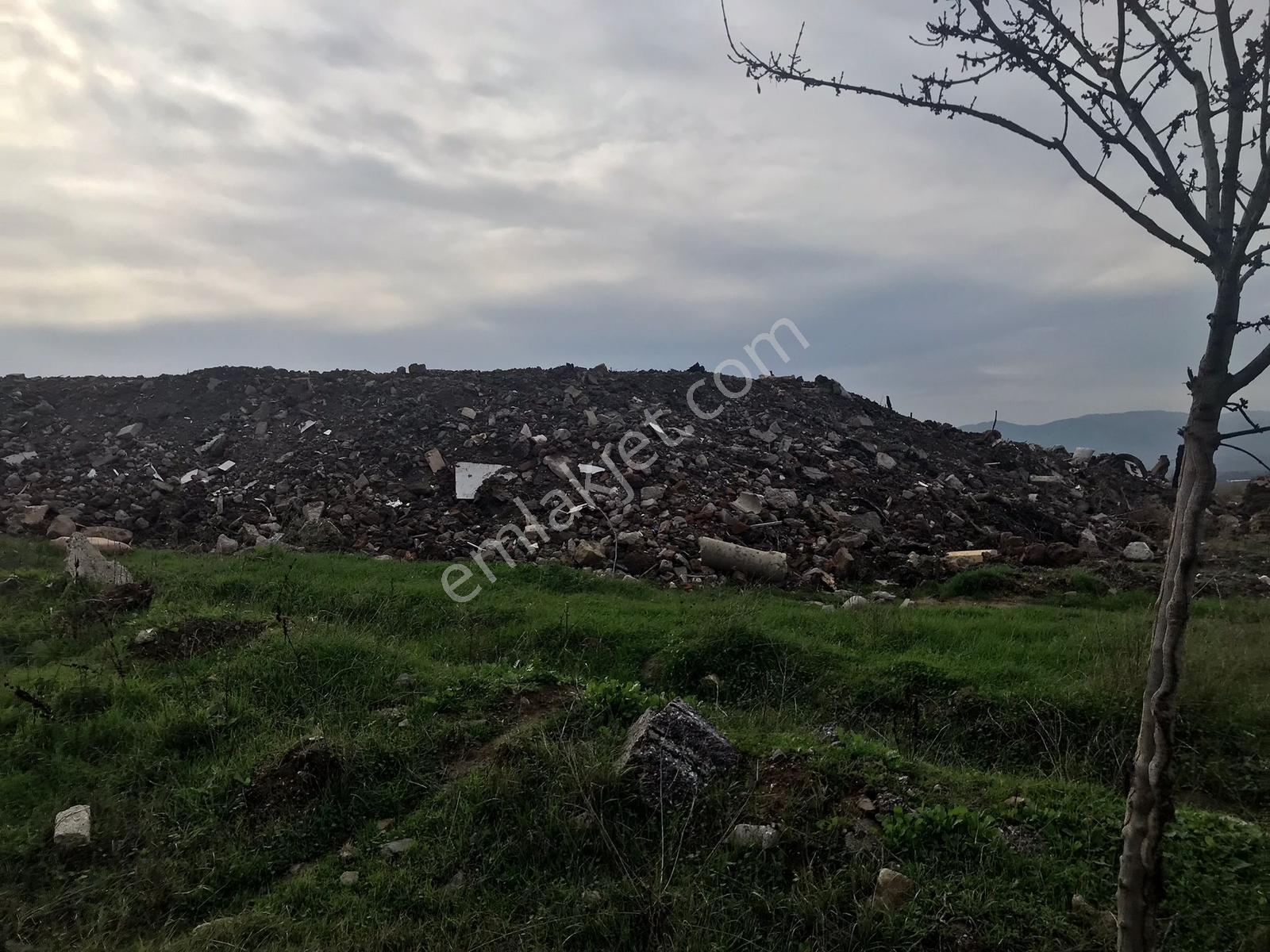 Kocaeli Karamürsel İhsaniye Köyü Yola Cepheli Satılık Tarlalar — fotoğraf 2