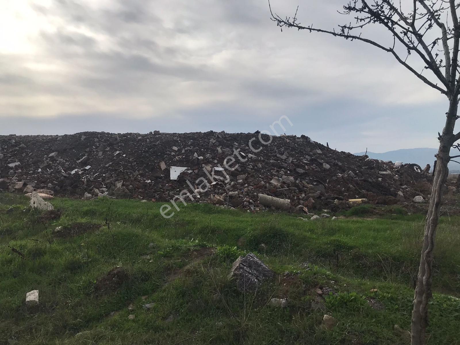 Kocaeli Karamürsel İhsaniye Köyü Yola Cepheli Satılık Tarlalar — fotoğraf 3