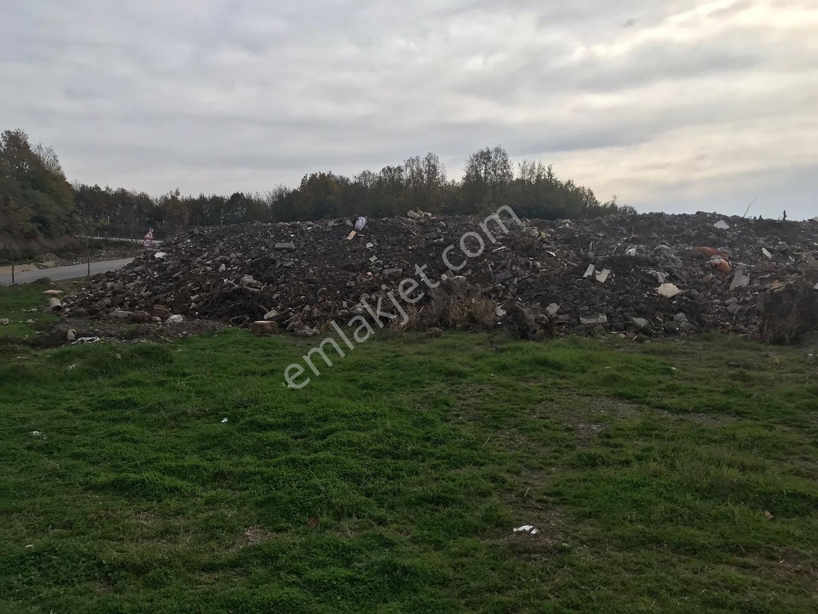 Kocaeli Karamürsel İhsaniye Köyü Yola Cepheli Satılık Tarlalar — fotoğraf 6
