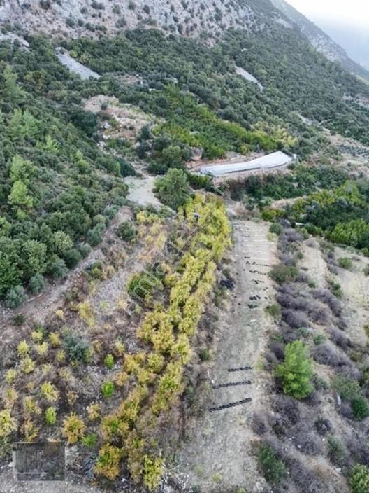 Full Deniz Manzaralı Bir Kısmı İmatlı Finike De Arsa Ve Tarla — fotoğraf 2