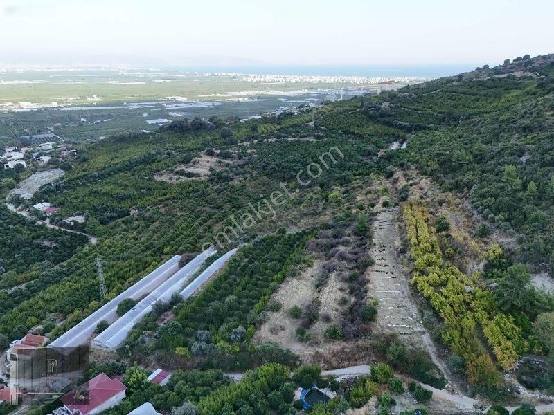 Full Deniz Manzaralı Bir Kısmı İmatlı Finike De Arsa Ve Tarla — fotoğraf 7