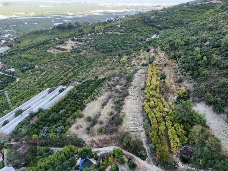 Full Deniz Manzaralı Bir Kısmı İmatlı Finike De Arsa Ve Tarla — fotoğraf 8