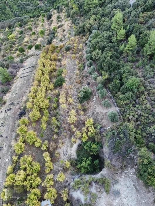 Full Deniz Manzaralı Bir Kısmı İmatlı Finike De Arsa Ve Tarla — fotoğraf 9